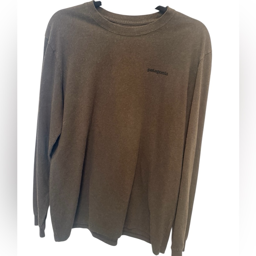 Patagonia Men's LS Tshirt in Brown